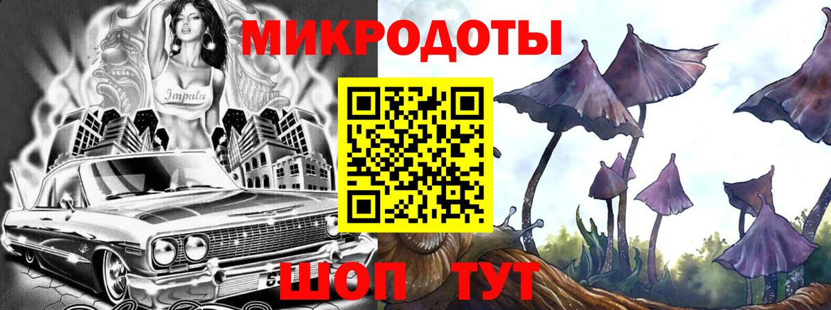 Псилоцибиновые грибы Psilocybe Красноармейск