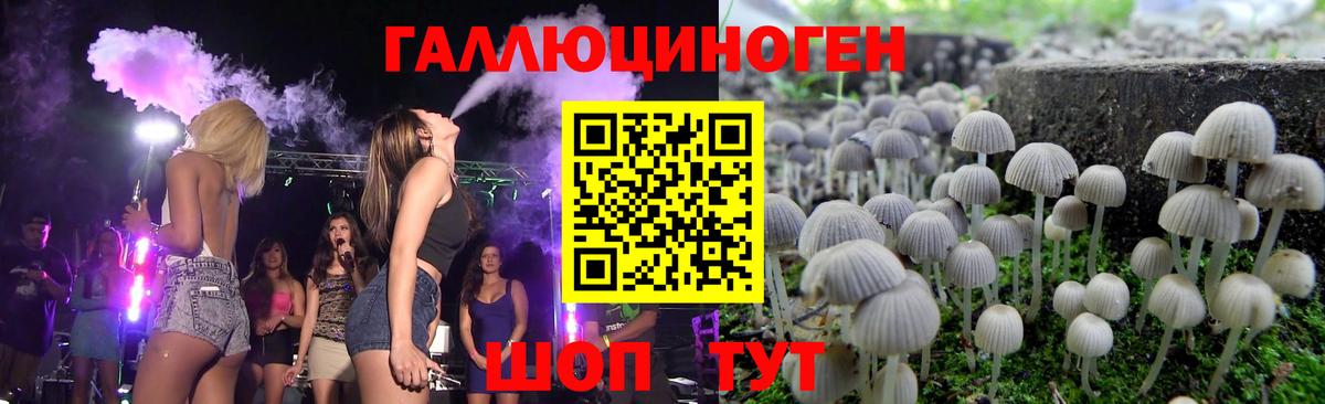 Красноармейск  Галлюциногенные грибы Psilocybe  цены наркотик  Вход с VPN 